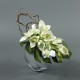 Moon silver M - Orchidée cymbidum blanc (78731)