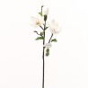 Magnolia branche avec feuilles 71cm - Champagne