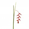 Torche Heliconia Pendula 91cm - Rouge foncé