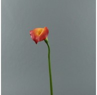 Arum 75cm - Orange