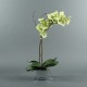 Cube silver L - Orchidée vert (76515)